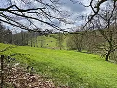 Kleebachtal