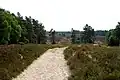 Das „Tiefental“ in der Misselhorner Heide