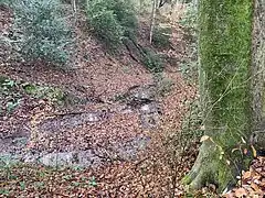 Herkensiepen