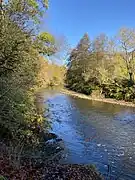 Wupper im NSG