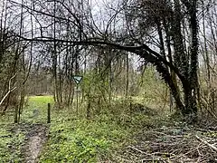NSG im Wiembachtal