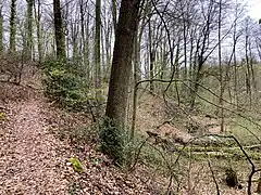 NSG im Ölbachtal