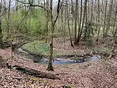 NSG im Ölbachtal