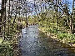 die Dhünn bei Hummelsheim