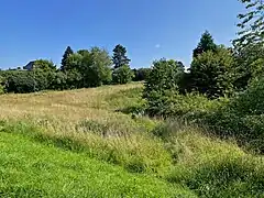Karpendelle -Quellmulde des Laubaches