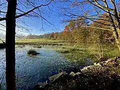 Naturnaher Teich in der Talaue