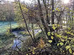 Deilbach mäandert und bildet Schotterinseln