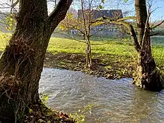 Deilbach wird von Ufergehölz gesäumt