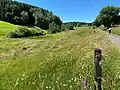 NSG Feldbachtal