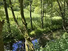 Feldbachtal am Mündungsgebiet in die Vorsperre