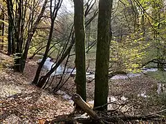 Naturnaher Verlauf des Eschbaches