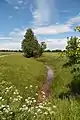 Bardelgraben an der Südgrenze des Naturschutzgebiets Recker Moor