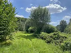 Landschaftsmosaik im unteren Koppelsbachtal