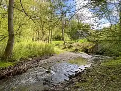 Mündung des Lobach in den Eschbach