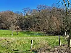 Schwarzbachtal östl. A3 und südl. Götzenberg