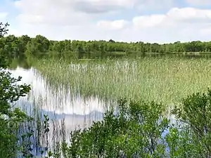 Silbersee