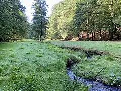 Oberlauf Kleine Dhünn