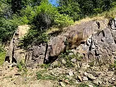 Tonschiefer-Felswand im östl. Steinbruchkessel