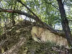 Bewaldeter Felshang an der Südseite des zentralen Kessels