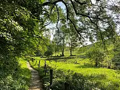 Dorper Bachtal