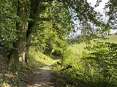 Wanderweg A1 Dorper Bachtal