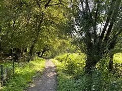 Wanderweg durch das NSG