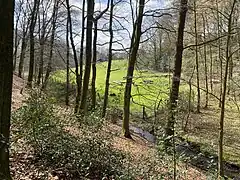Bachtal unterhalb Töckelhausen