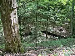 die Wolfsbecke gräbt ein tiefes Kerbtal