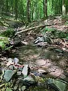 das Bachbett der Wolfsbecke