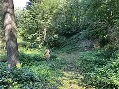 Tongrube mit kleinem, freigelegten Teil der ehem. Lösswand