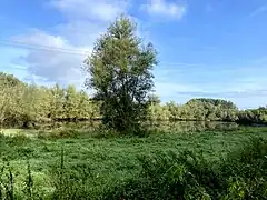 Baumberger Graben erweitert sich zu einem See