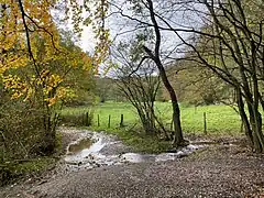 Einmündung Lehmkuhler Bach in den Marscheider Bach
