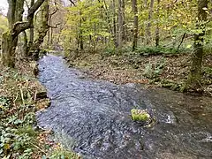 Stelle hoher Fließdynamik