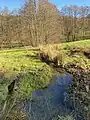 Vernässungsstelle des Brüggenbach - linker Zulauf zum Deilbach