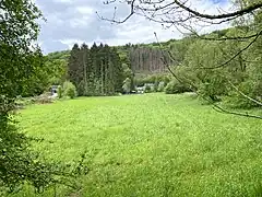 NSG Morsbachim Hintergrund: Breitenbruchlinks: Morsbachtalstraße