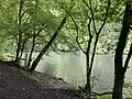 Wupperabschnitt mit geringer Fließdynamik