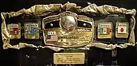 Der aktuelle NWA Worlds Heavyweight Championship 10-Pounds-of-Gold Gürtel (1973–1986, seit 1994)