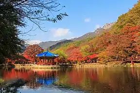Pavillon des  Baekyangsa Temple 백양사