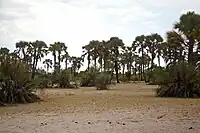 Omhedi-KulturlandschaftOmhedi Cultural Landscape