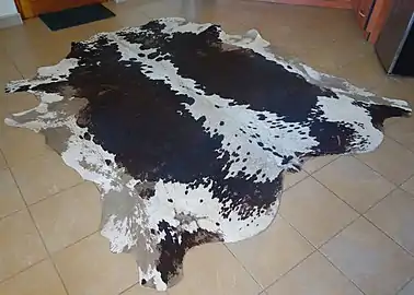 Rindshaut  (Namibia, 2017)