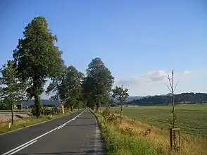 Napoleon-Allee im Logatec Polje