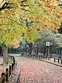 Herbstliche Impression der Parklandschaft
