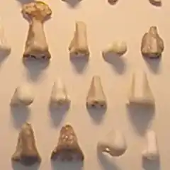 Nasothek