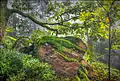 Bemooste Felsen bei Dollberg: Wildnis für Naturliebhaber. Der Park hat auch Freizeitfunktionen.