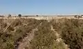 Panorama mit Zaun