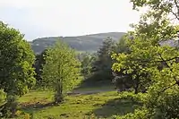 Blick über das Naturerbe-Gelände am Hang des Stengerts bis hin zum Erbig