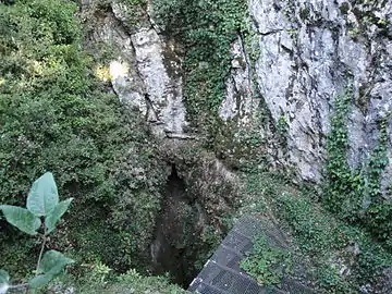 Der natürliche Eingang