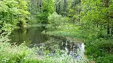 Naturdenkmal Böses Loch in der Dresdner Heide, Dresden