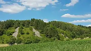Die Naturdenkmale 1 Linde Dittwar Obere Seegärten (links), Steinriegel Dittwar Burghelle (rechts)und das Wasserschutzgebiet am Muckbachtalradweg.