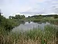 Der Hellersberger Weiher liegt direkt neben der K 78 zwischen Odernheim am Glan und Lettweiler